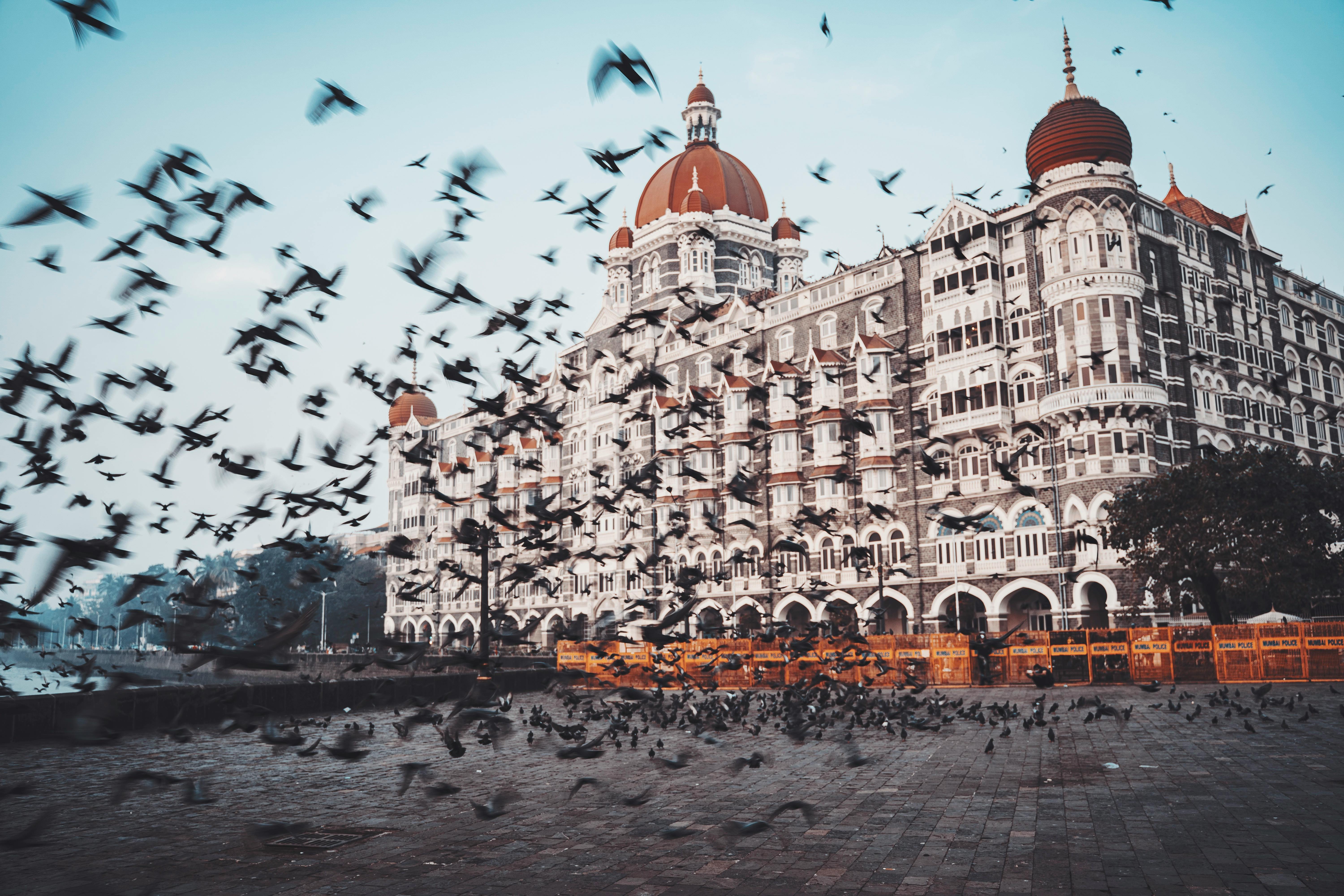 Domestic Hotels