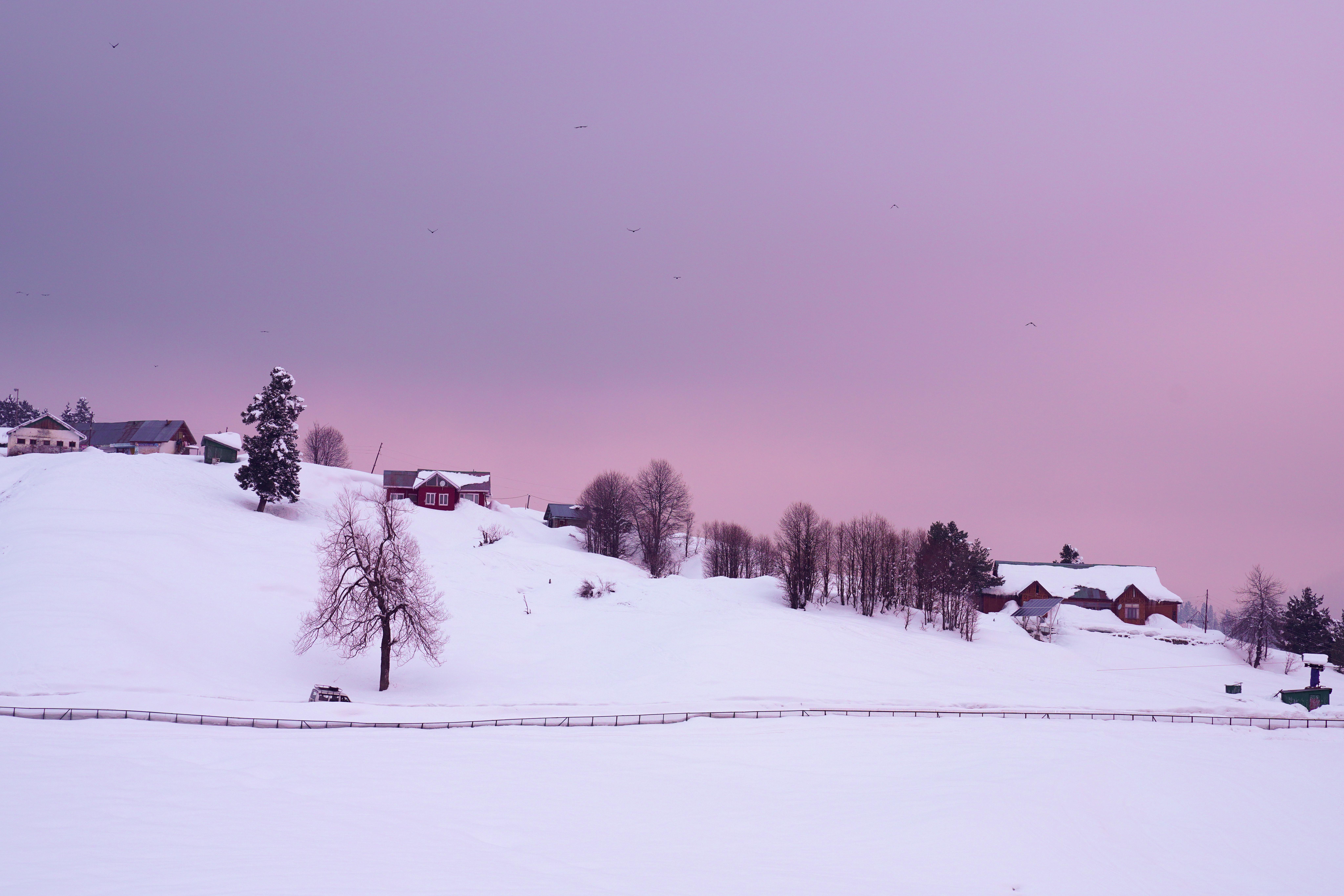 Kashmir